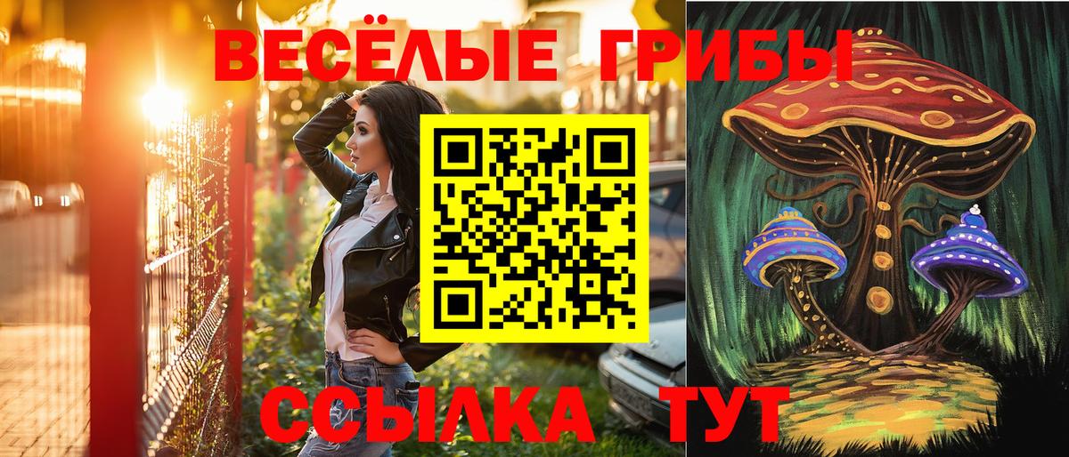 купить наркотик  Псилоцибиновые грибы MAGIC MUSHROOMS  Вход с VPN  Гатчина 