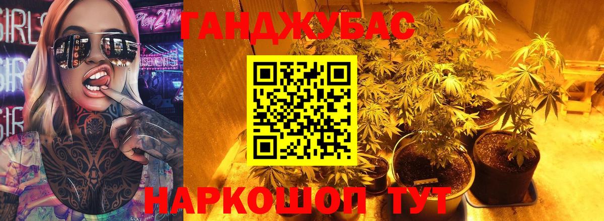 Бошки Шишки тримм  Бошки Шишки семена  Конопля план  Вход с VPN  Канабис тримм  Гатчина 